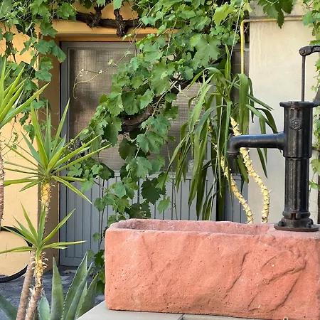 Zum Feti Und Restaurant